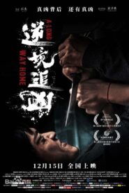 Ni Jing Zhui Xiong (2023) Hindi Dubbed (ORG) & Chinese [Dual Audio] WEB-DL 1080p 720p 480p HD [A Long Way Home Full Movie]